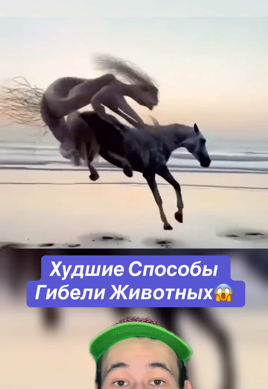 @erkinrx