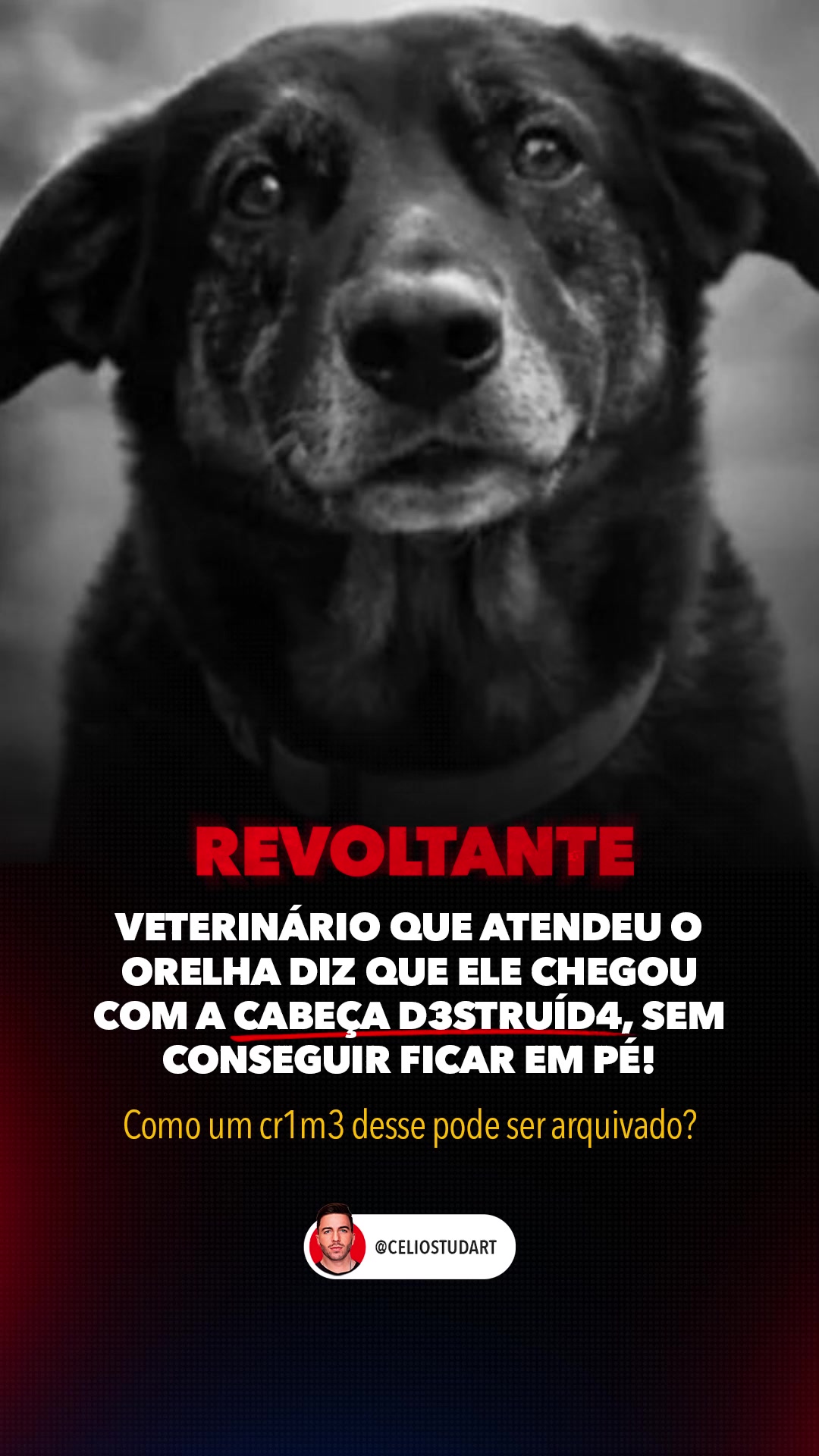 @celiostudart