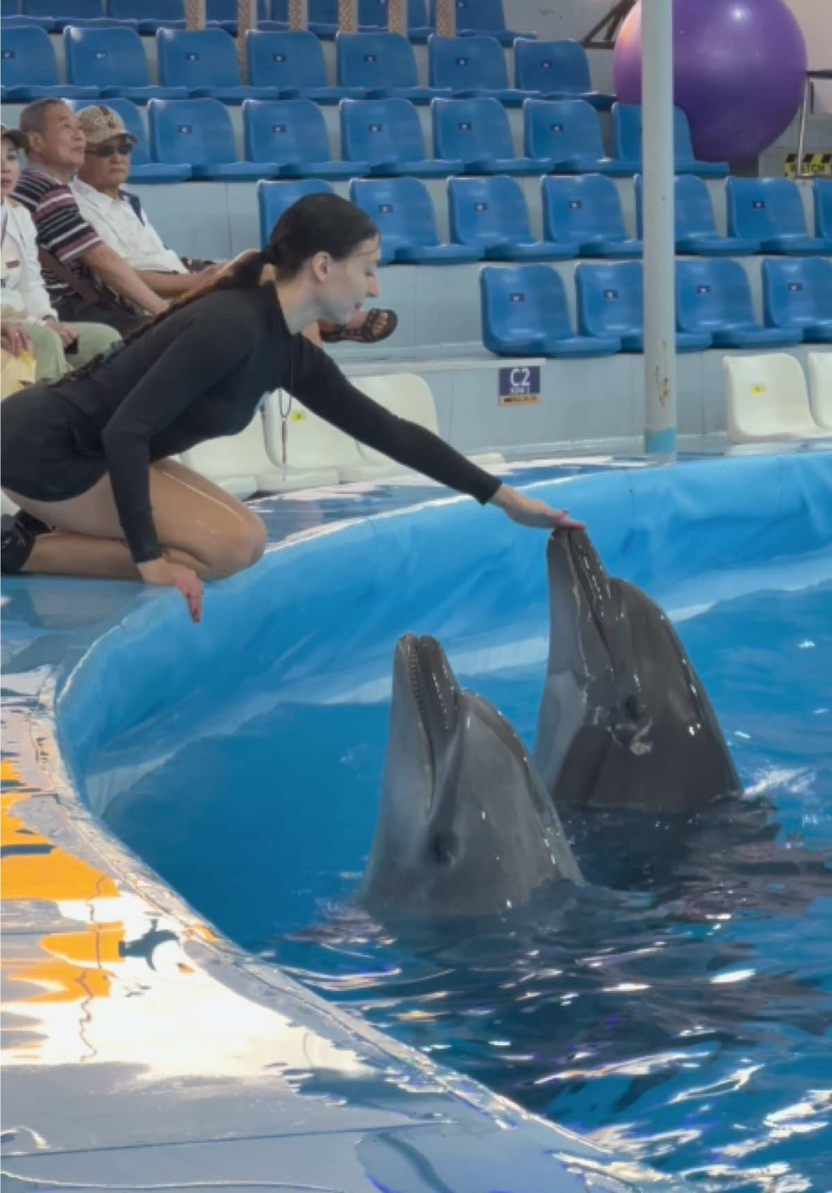 @Pattaya Dolphinarium