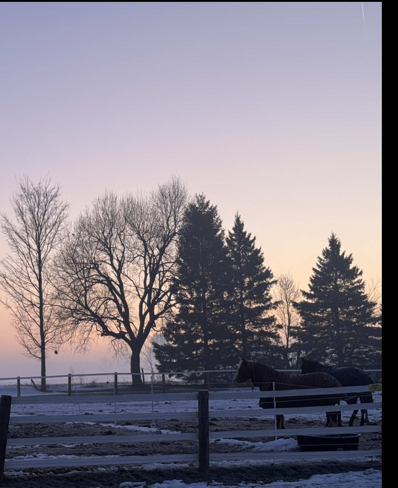 @Emily Moniz Of Valiant Eq 🫢