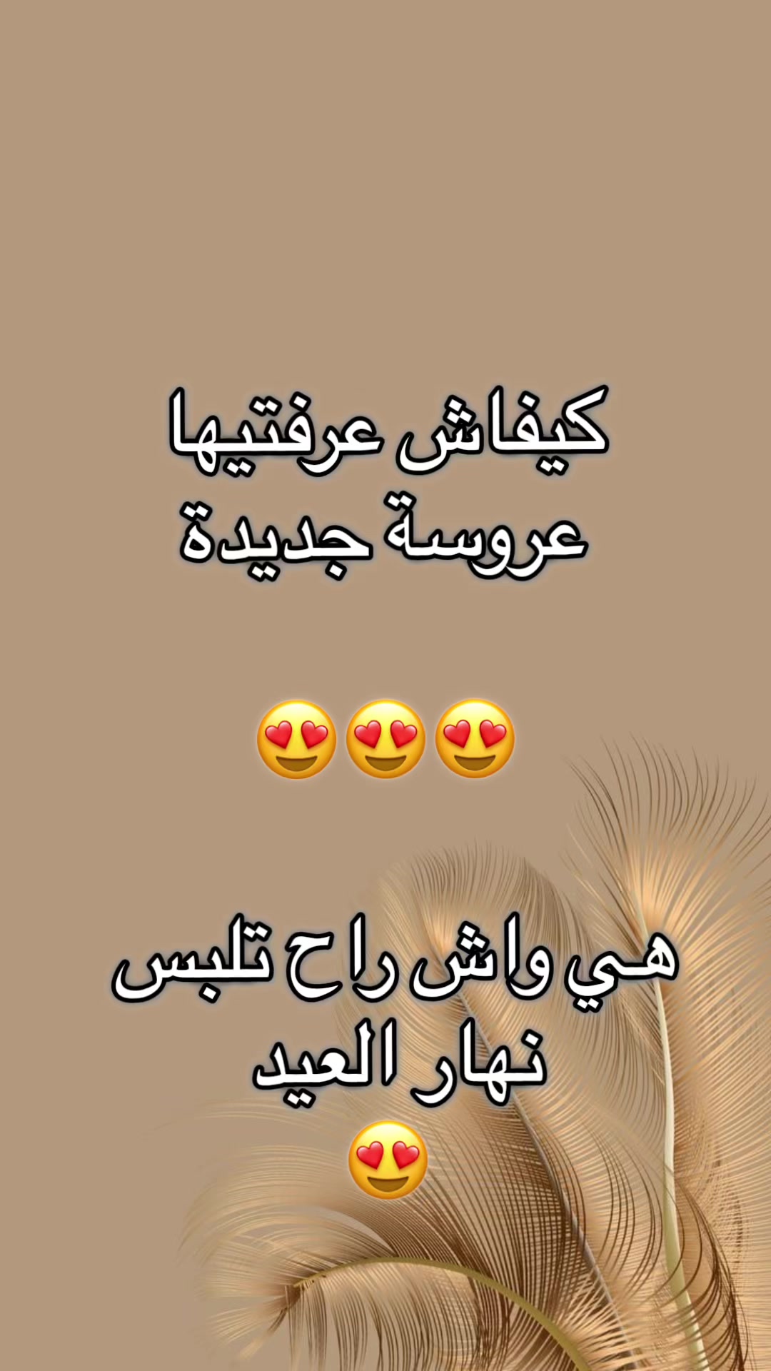 @Lina Collection