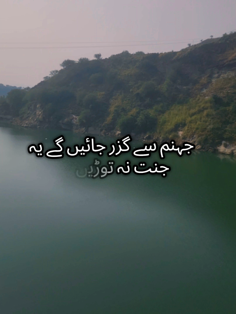 @Mohsinraza