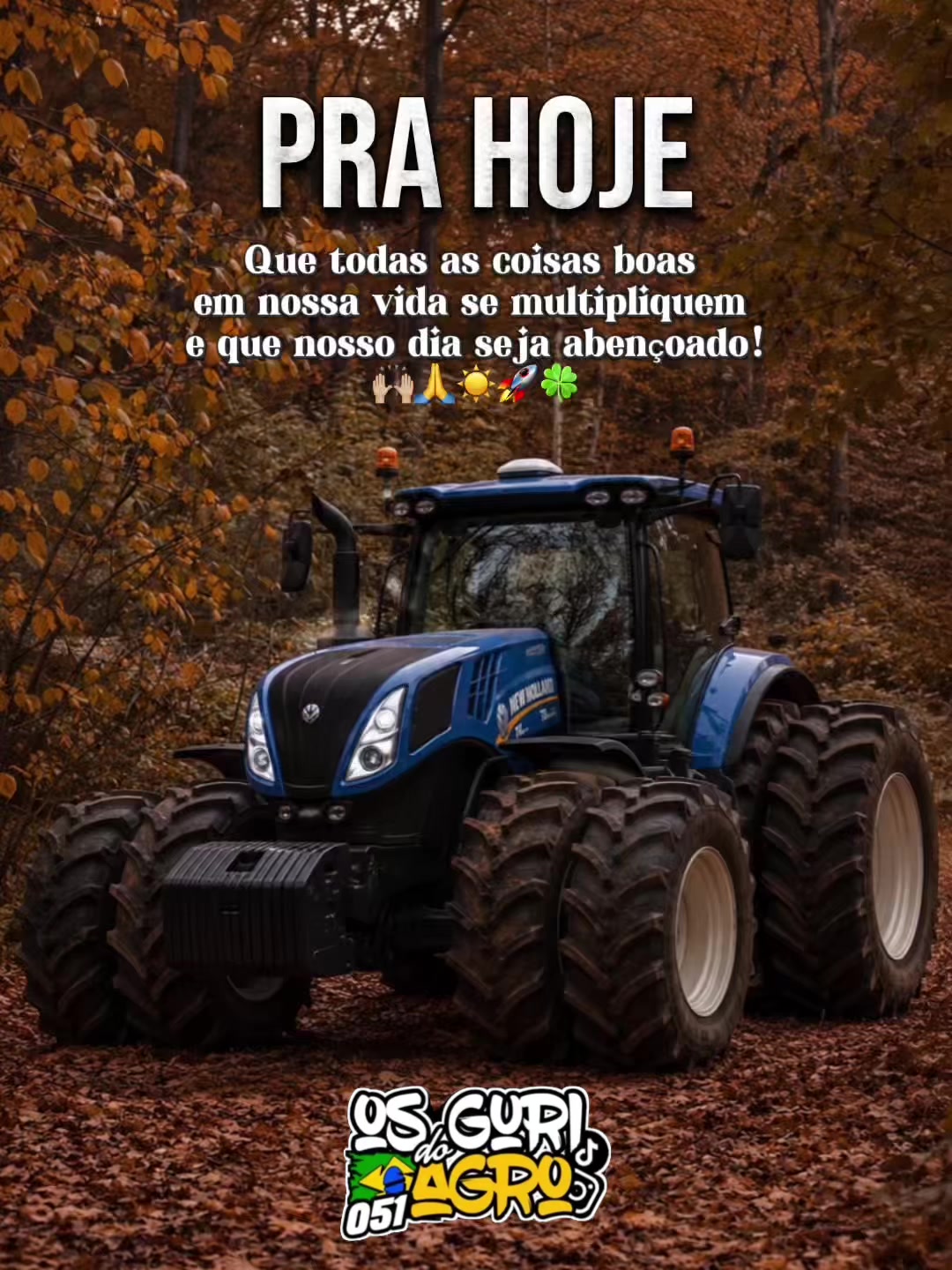 @osguridoagro051