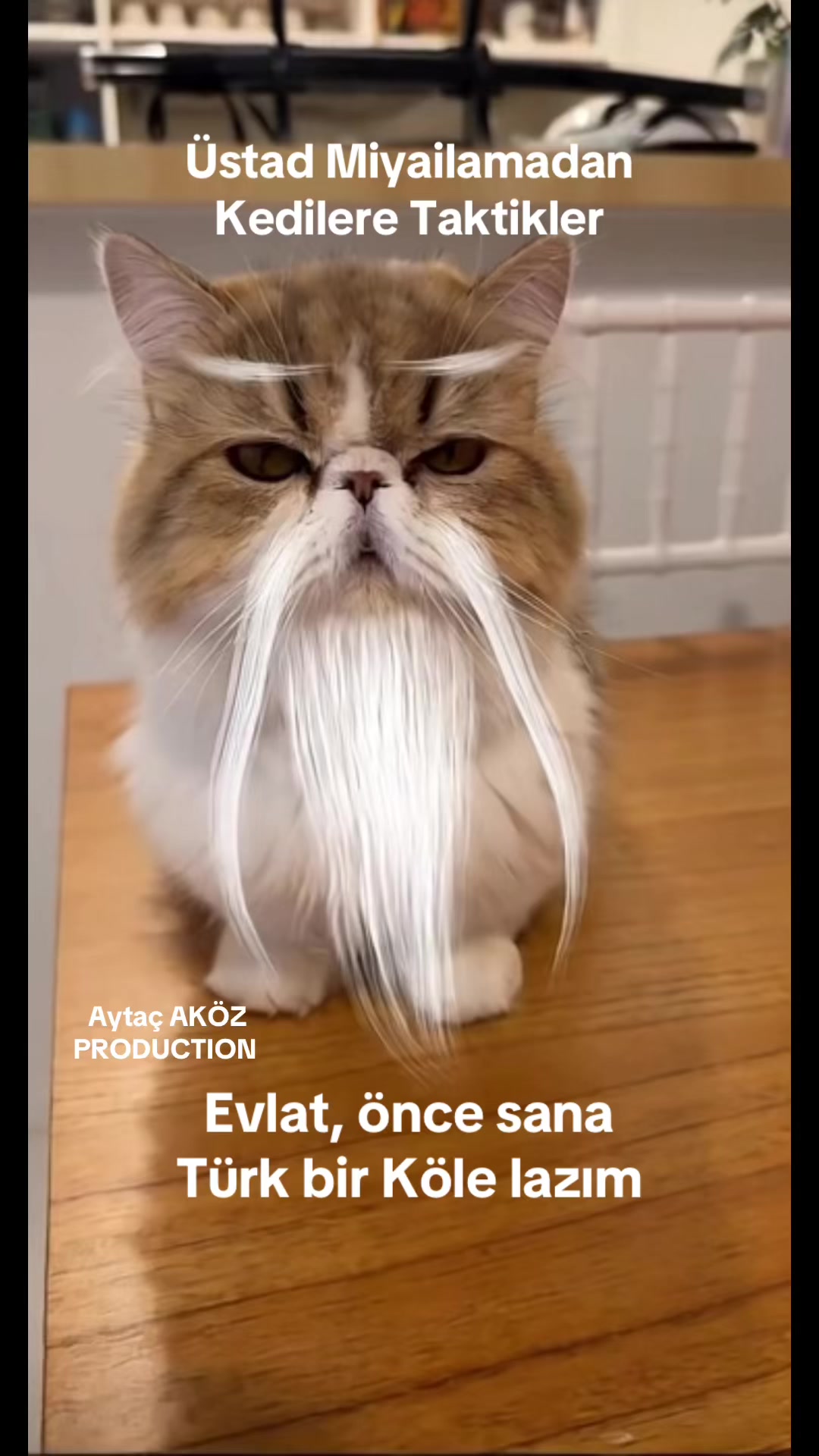 @aytac_akoz
