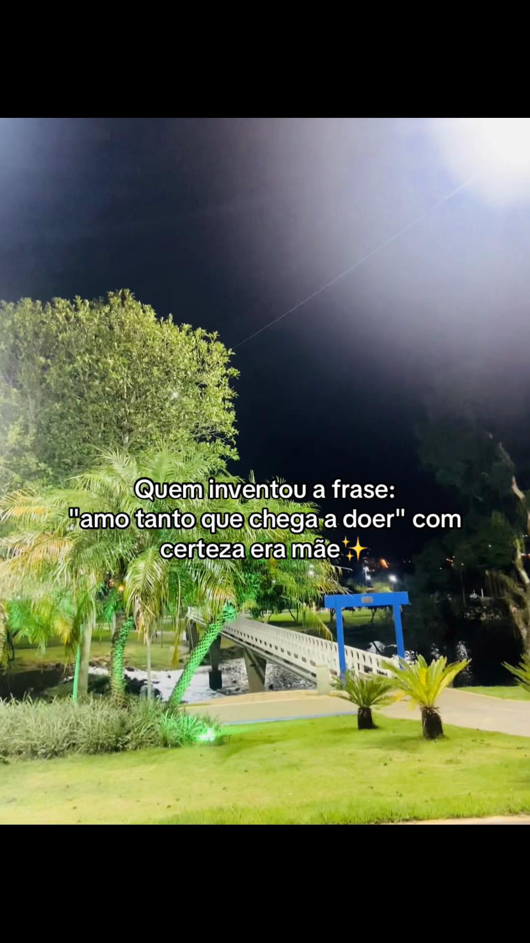 @kauane castanho🐼
