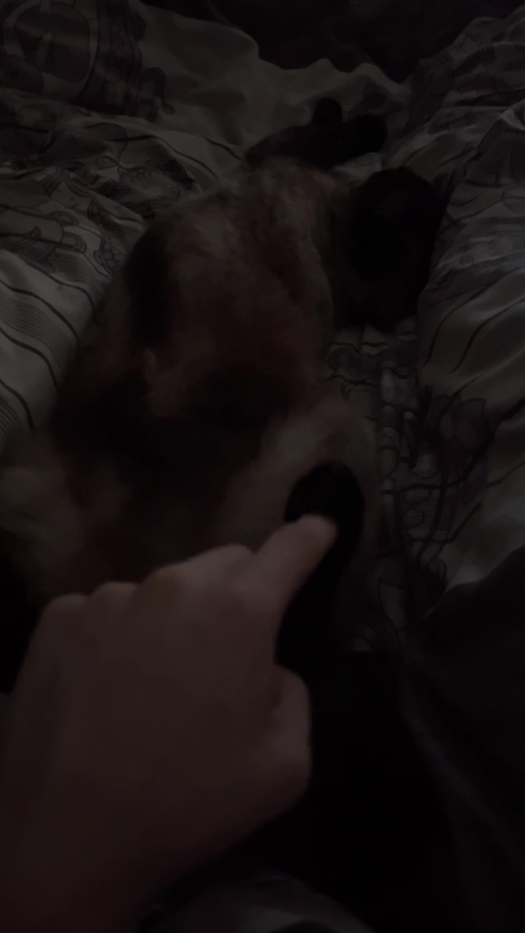 @gothisound