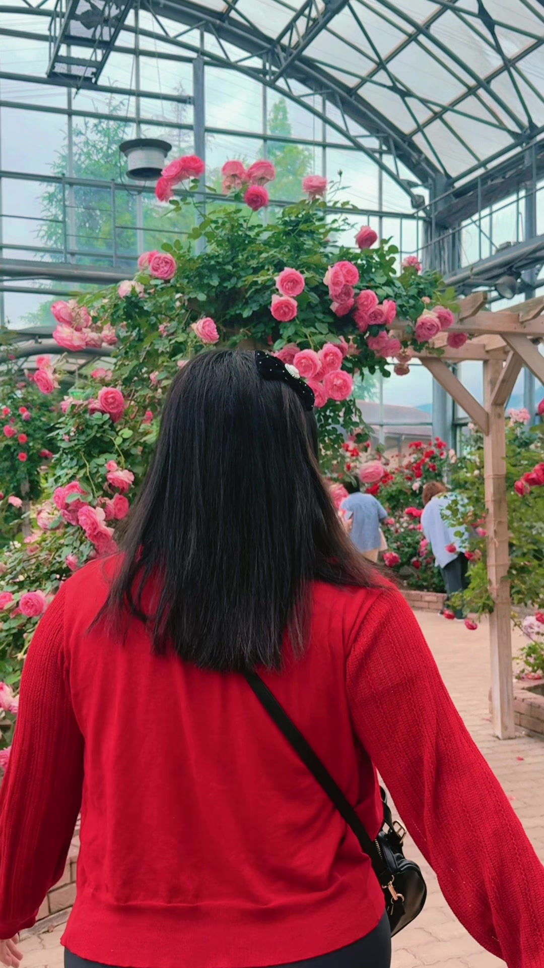 @Pun 20NU