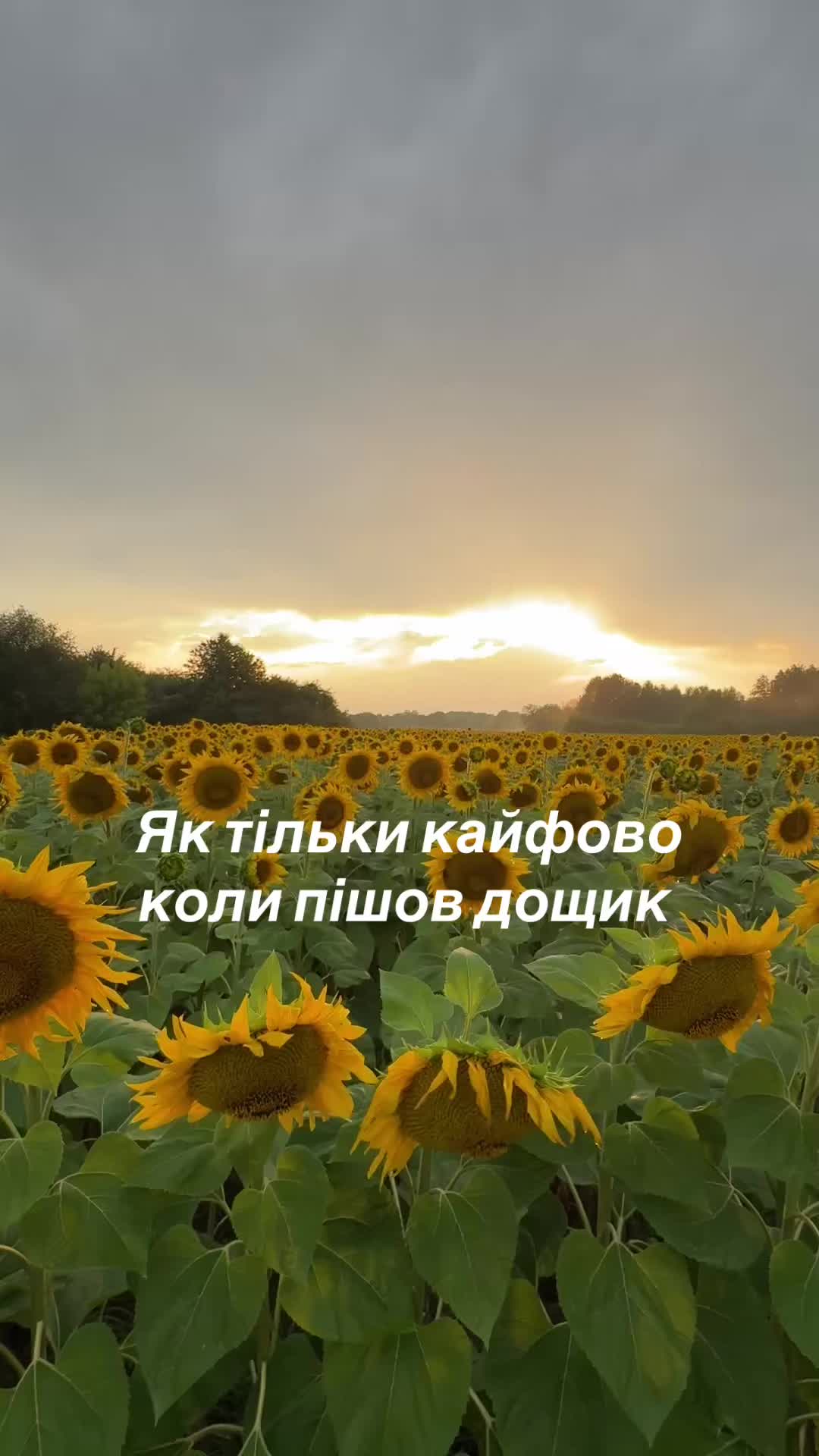 @Sasha🇺🇦John Deere🇺🇦🚜🌾🌽
