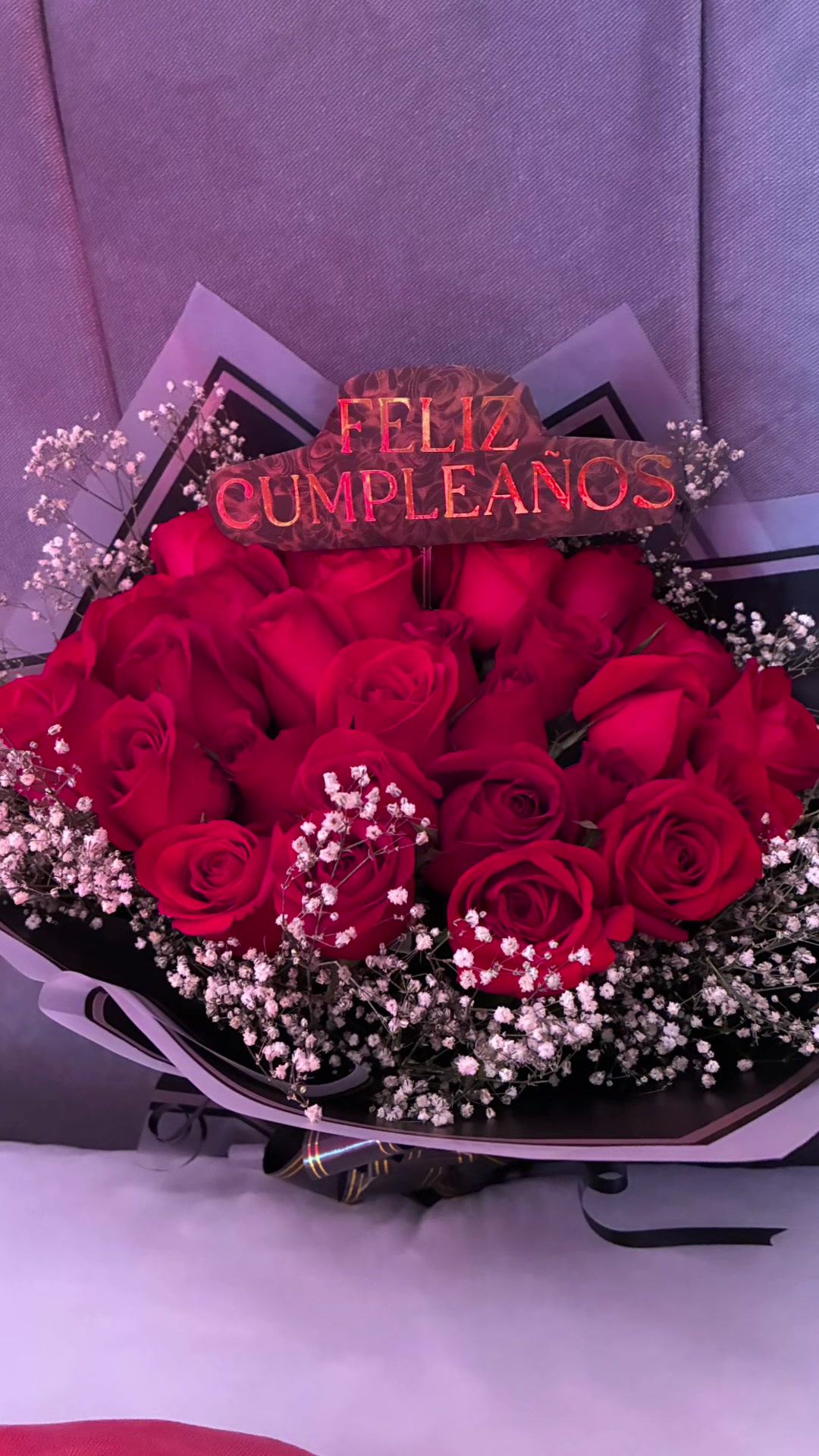 @Isabel Matos