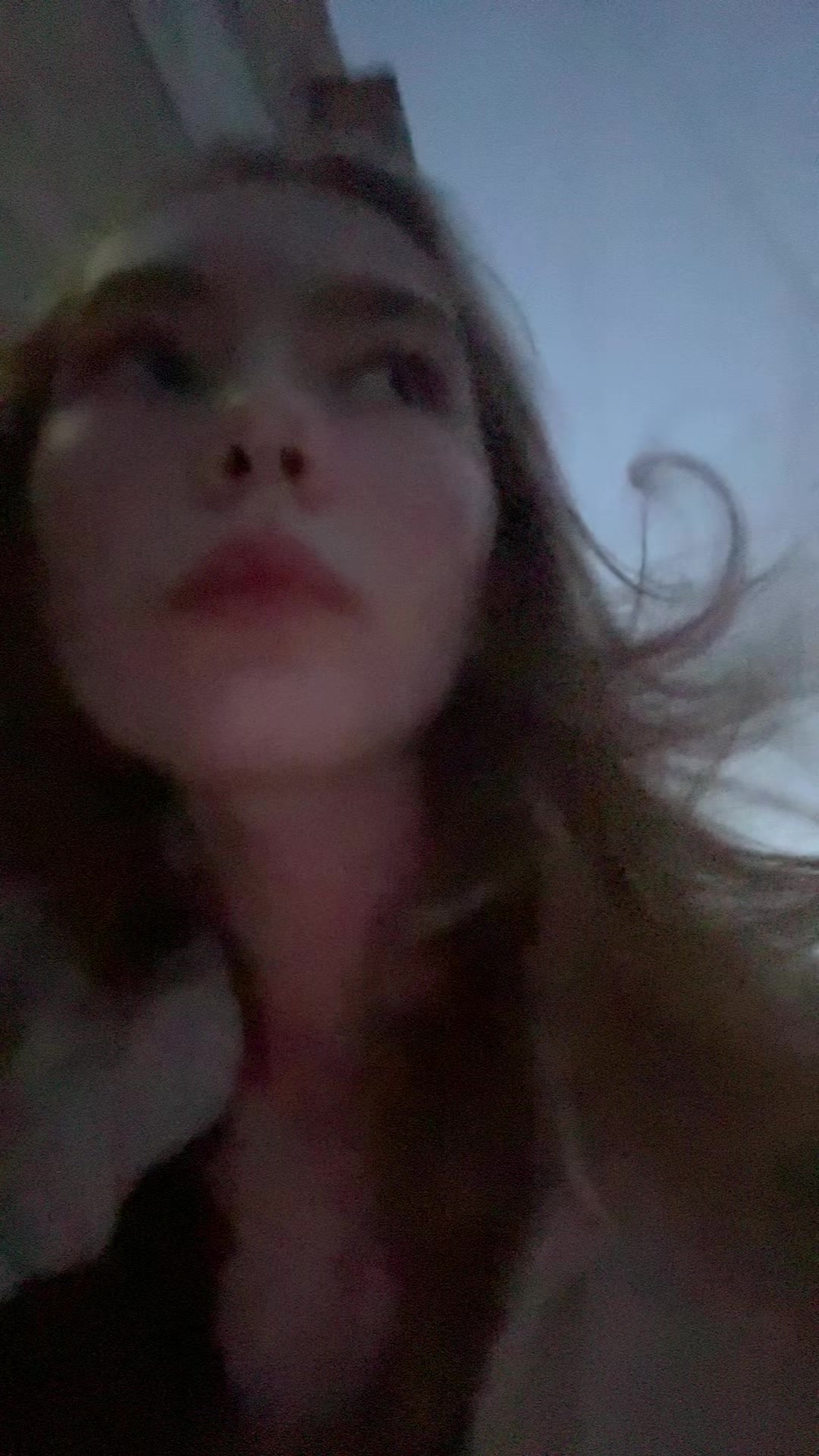 @🦢