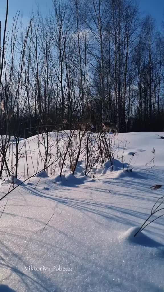 @Зеленоглазая🔥✅