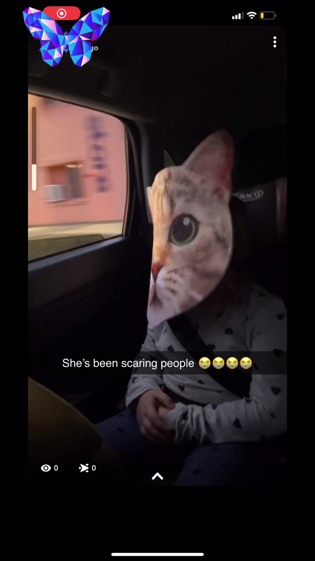 @Cat