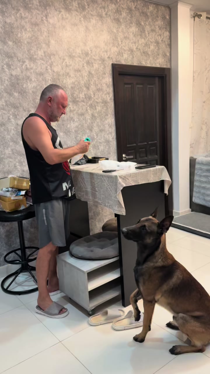 @doglifethailand