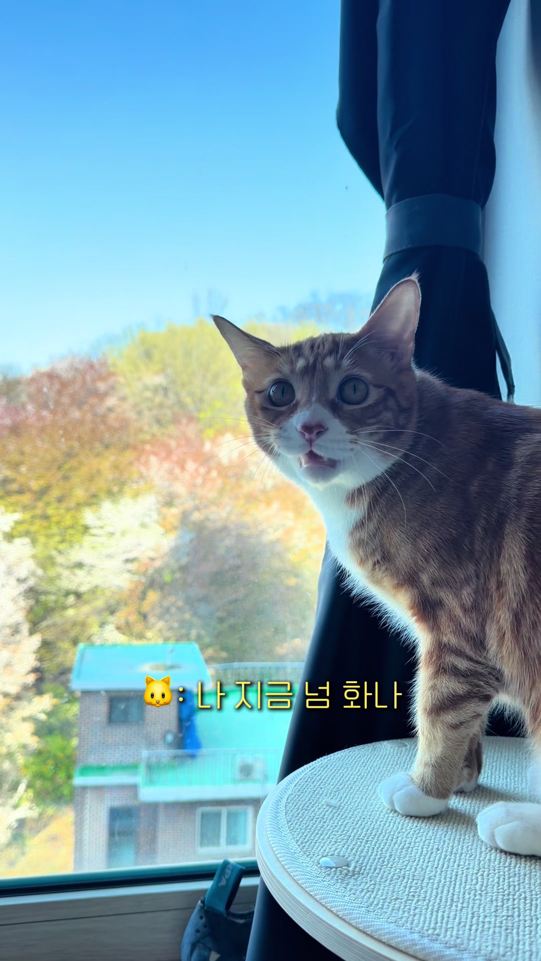 @뮤춘삼