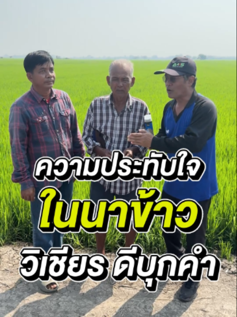 @4Tree A4S Thailand