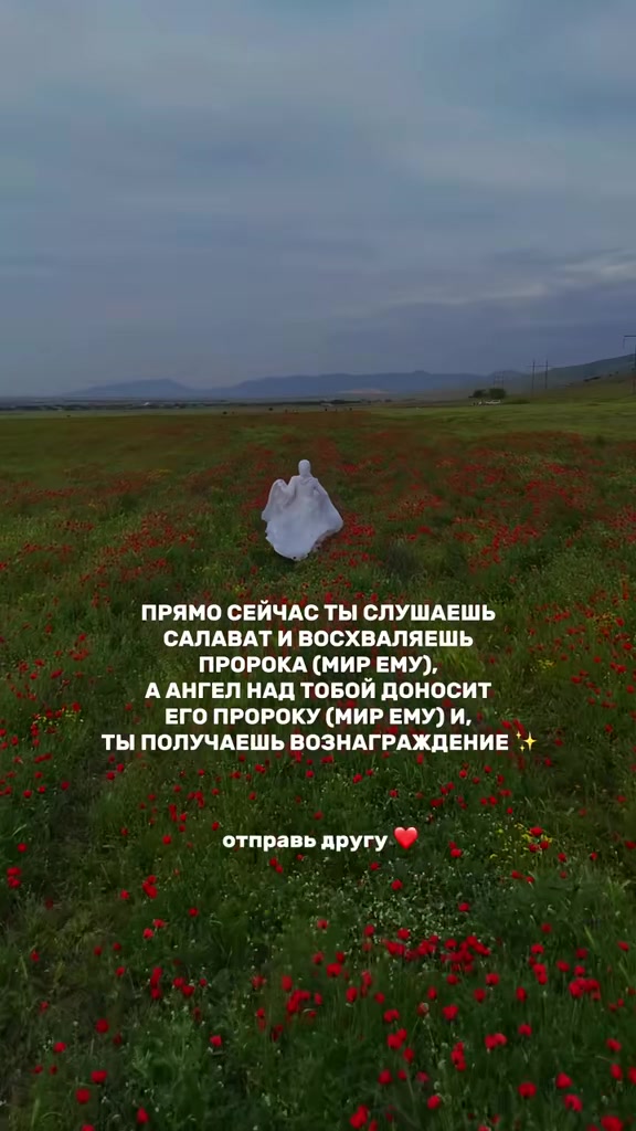 @Аиша Ханум