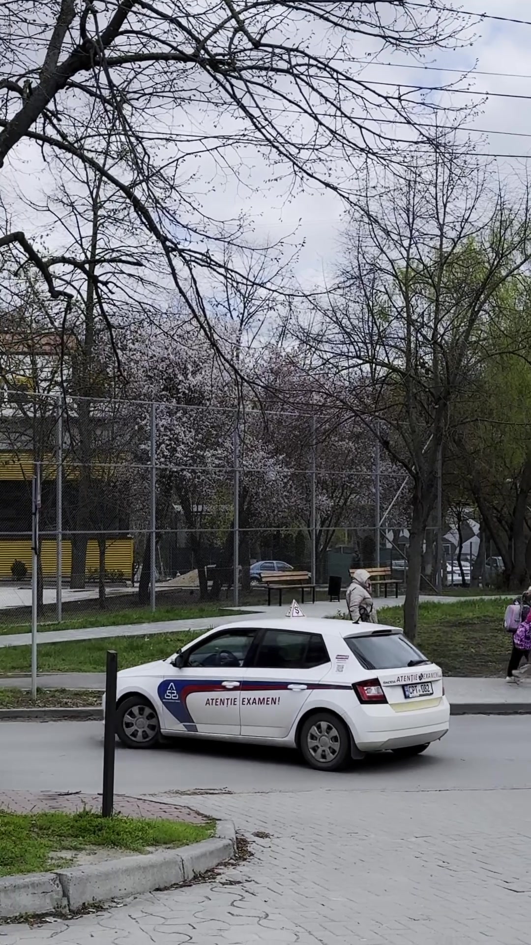 @auto_startup