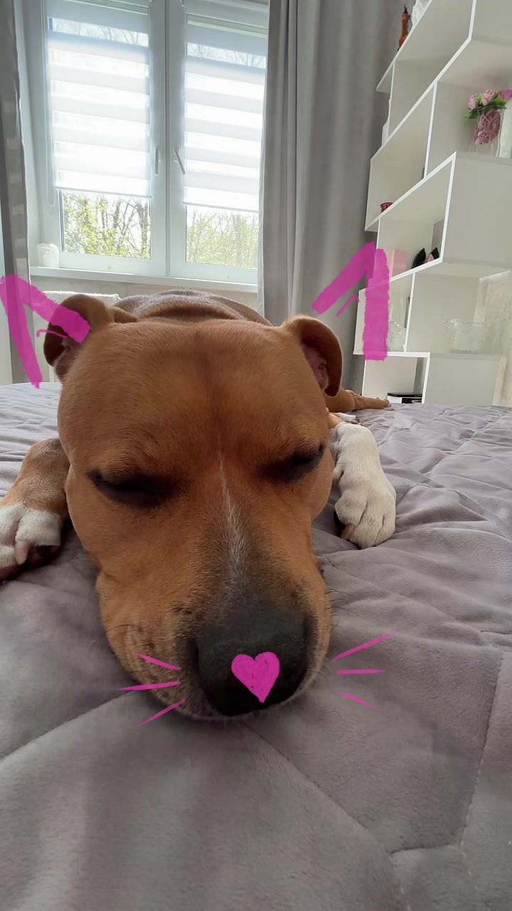 @Eva🐾Mira
