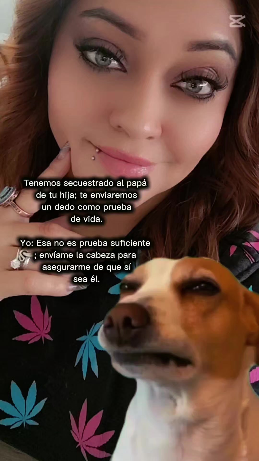 @Gatita Daniiela