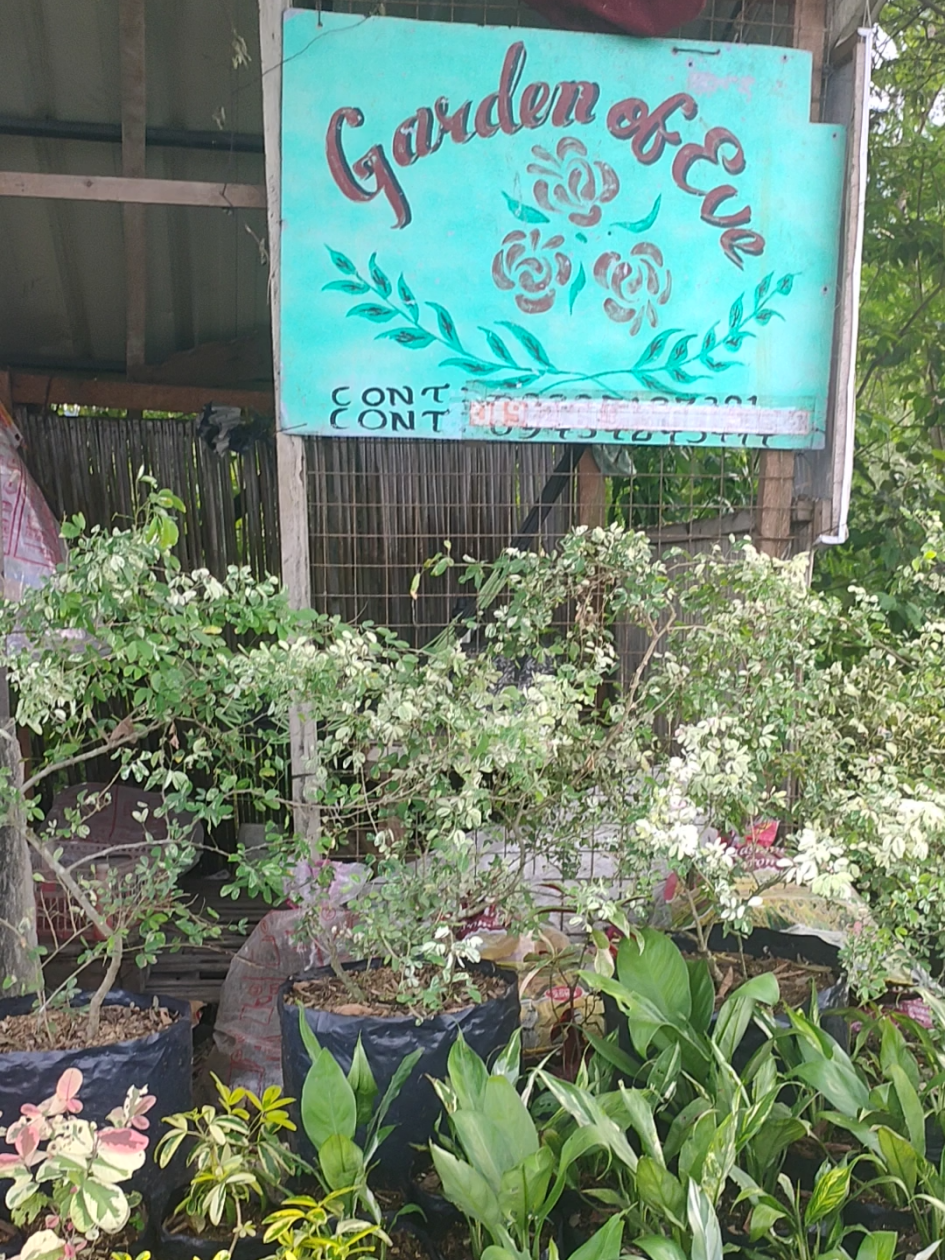 @Beautiful Garden of Eve