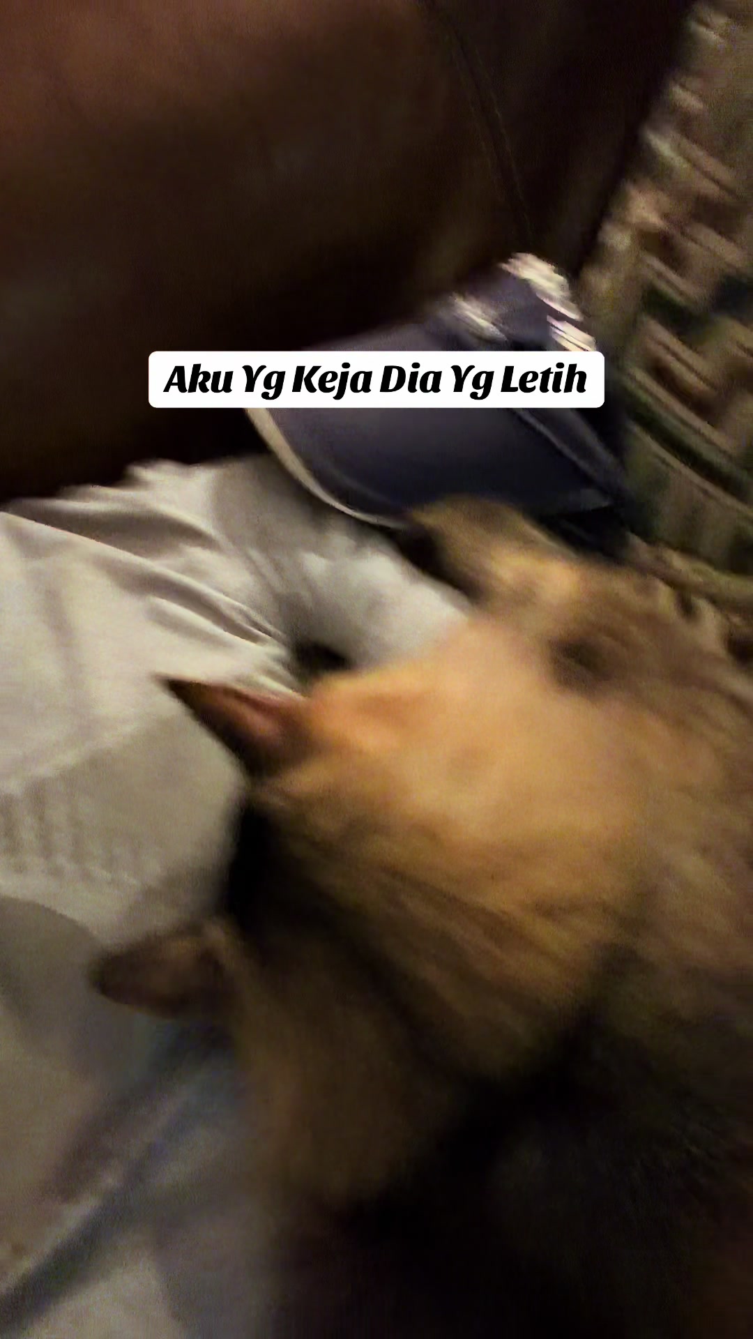 @CaptJayMohd🇲🇾