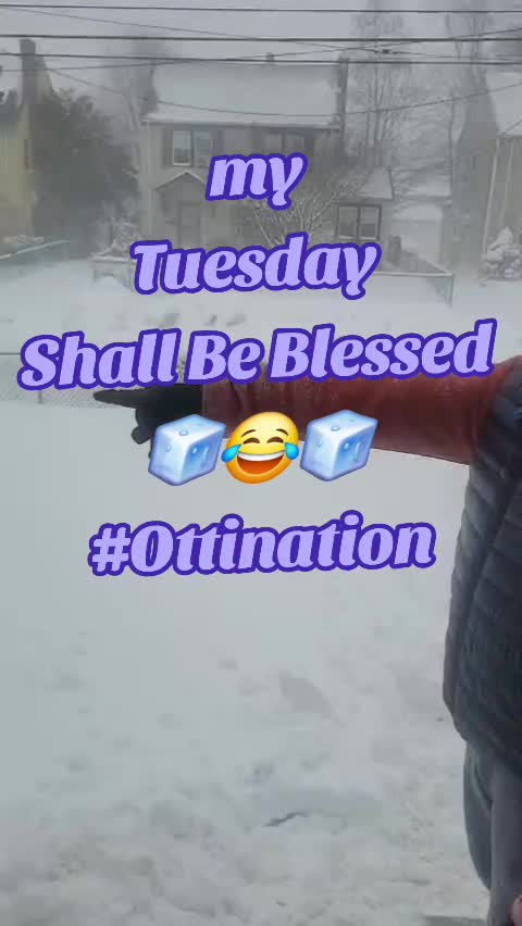 @🇺🇸🇯🇲OttiExclusive🇯🇲🇧🇧