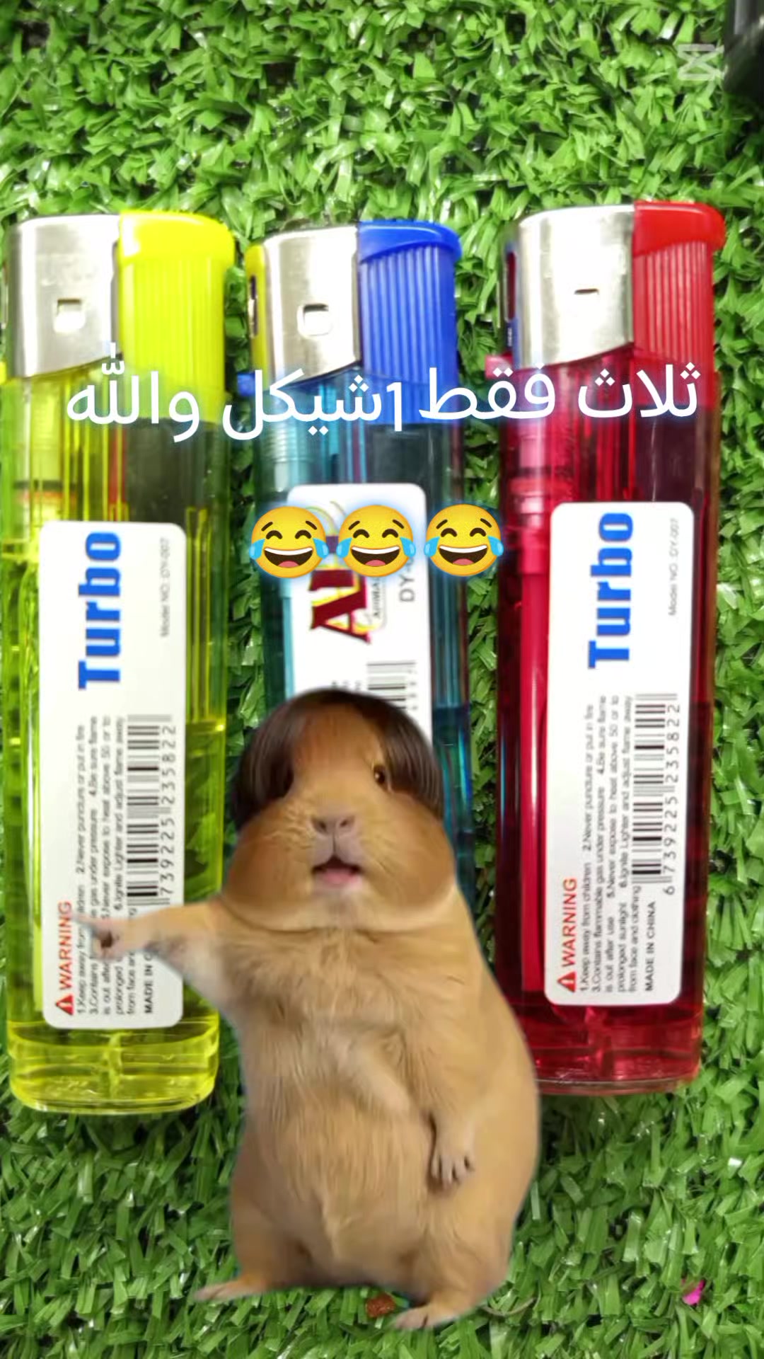 @مكتبة المهاجرين