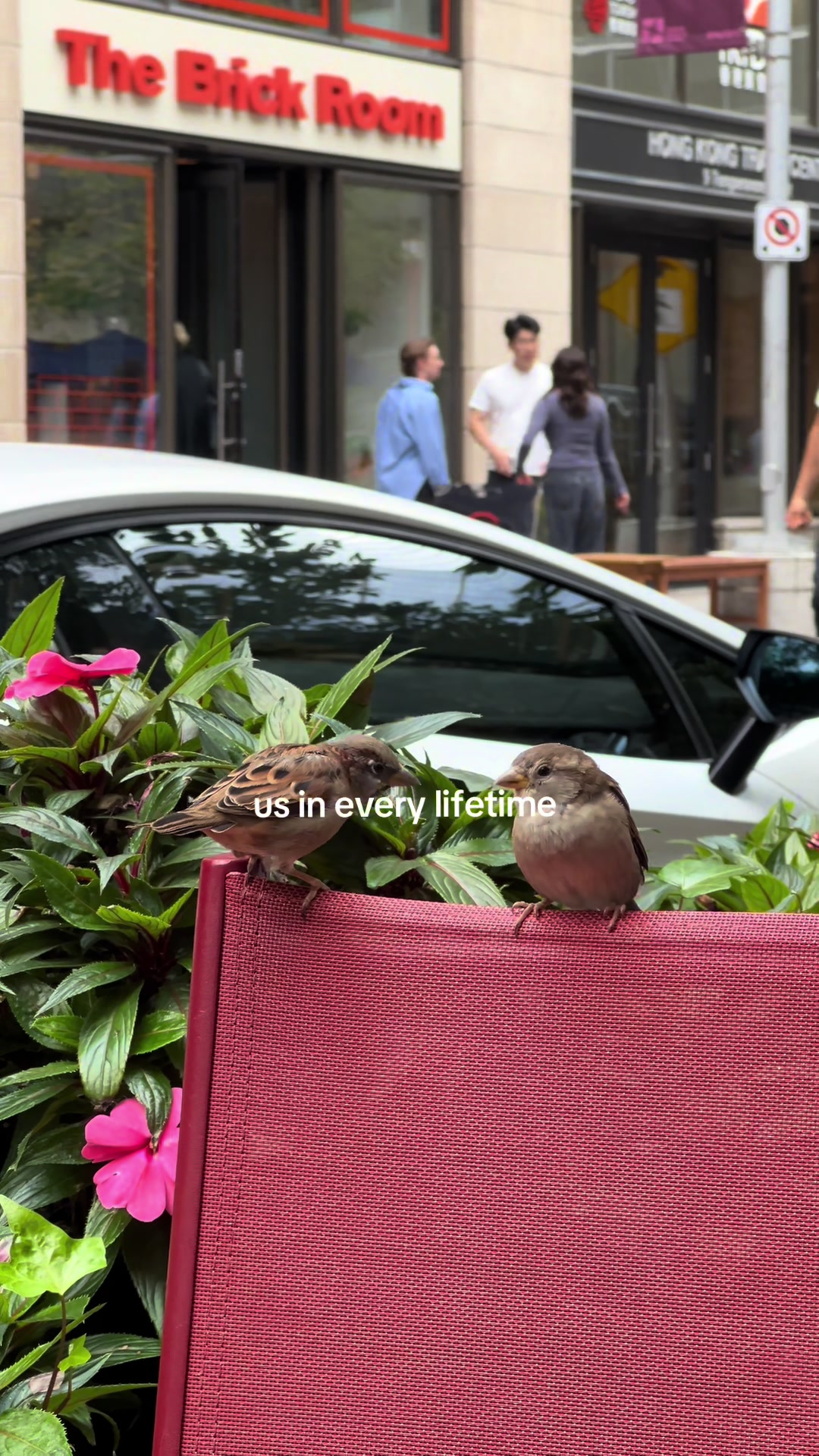 @Mitra