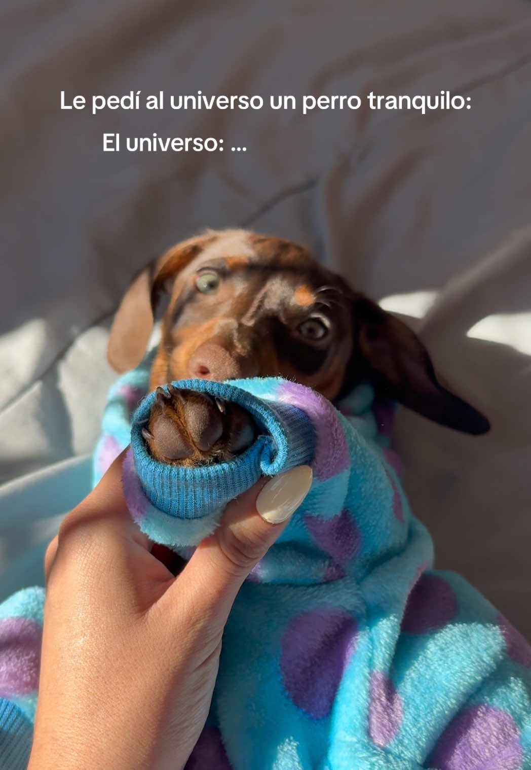 @Bian Romero