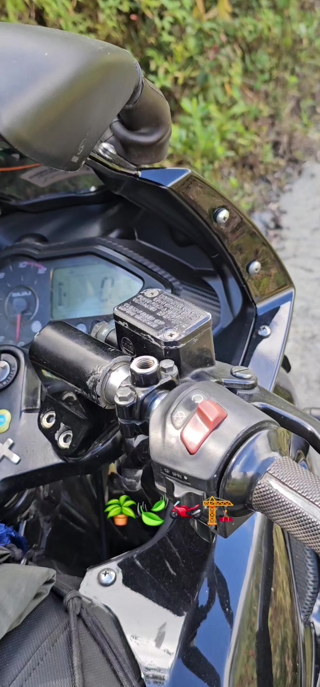 @Aldo Q_De La Cruz