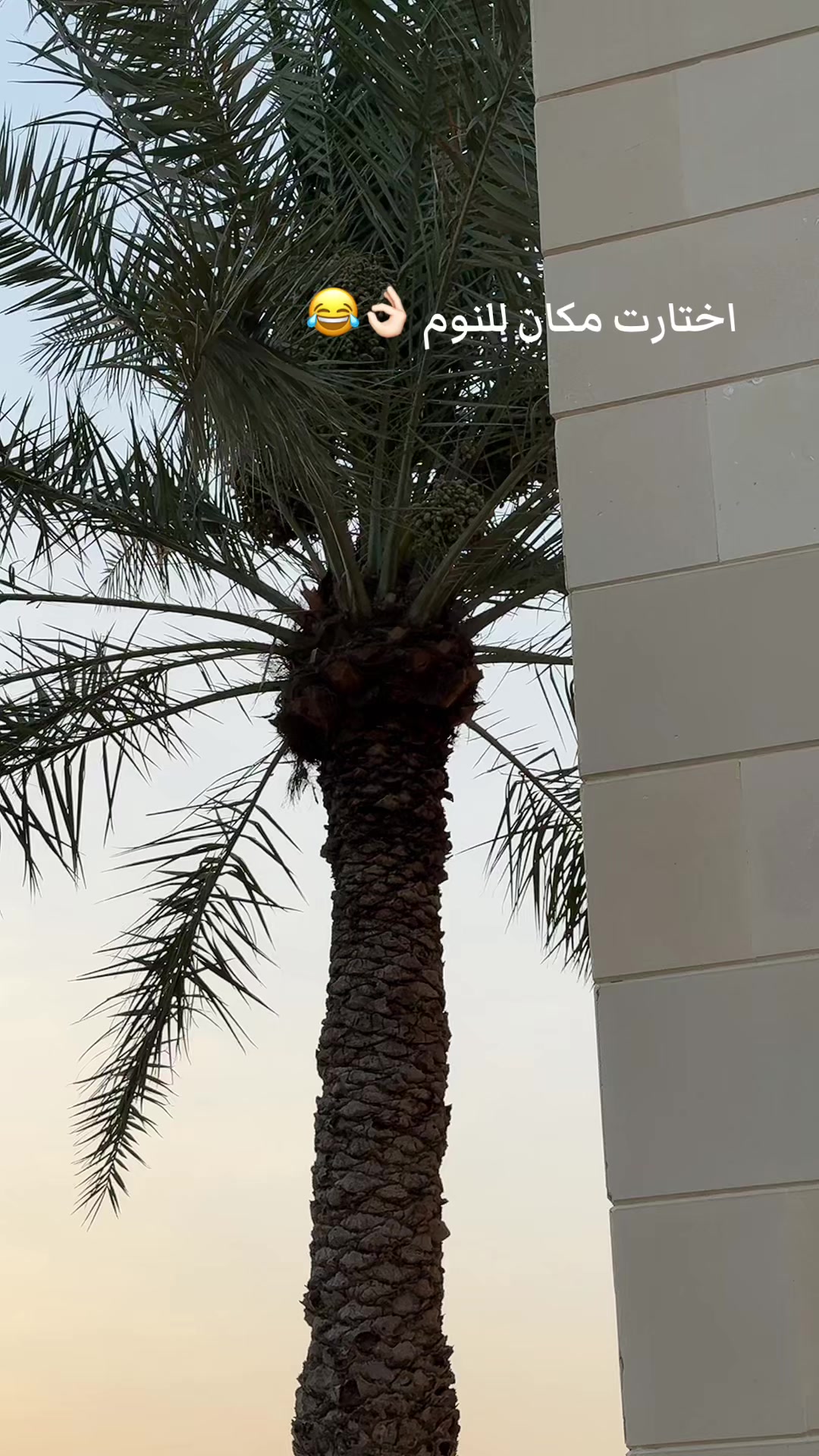 @منيره التميمي🇸🇦عقار