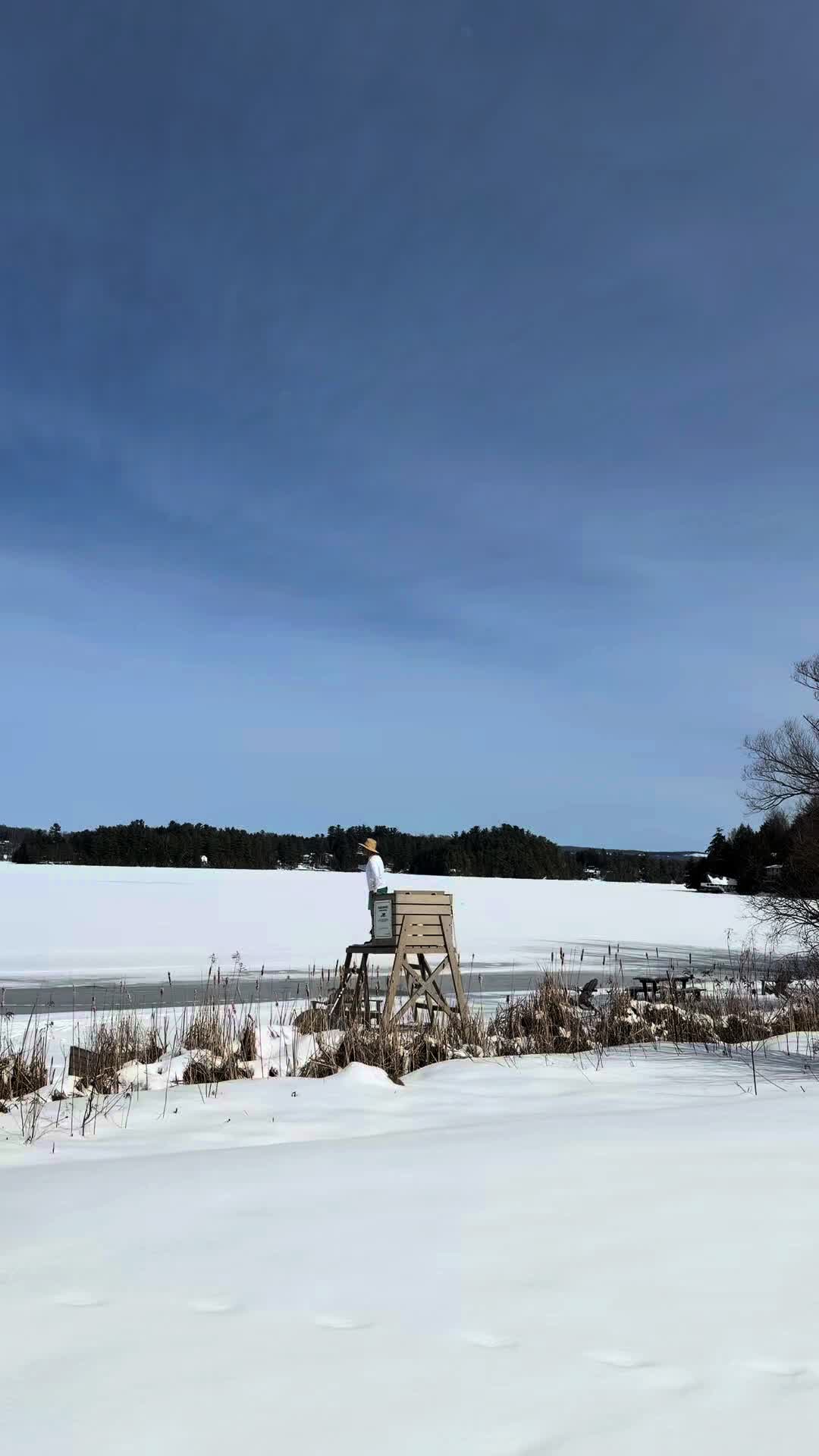 @TAIGA BOARD 🇨🇦