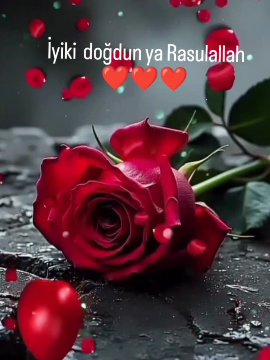 @hayat nereye gidiyor