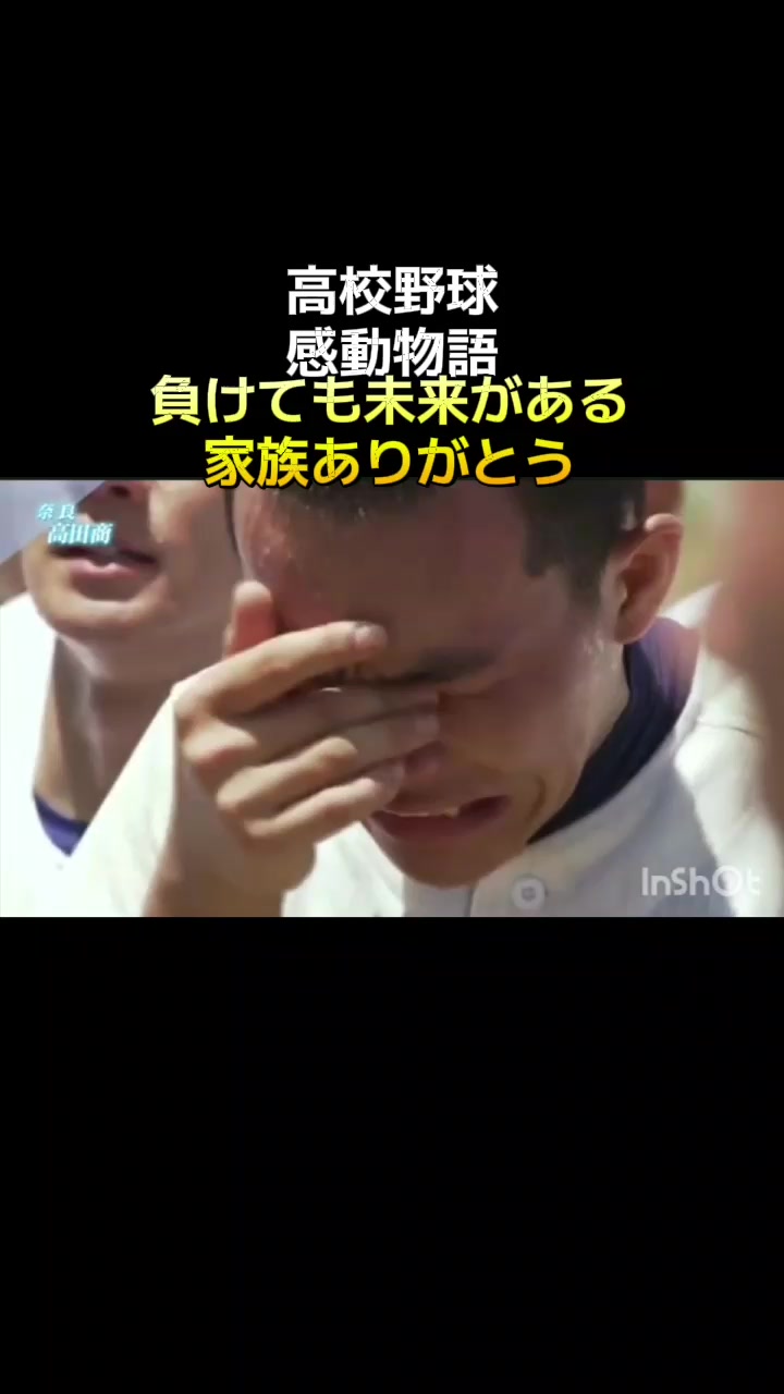@木漏れ日