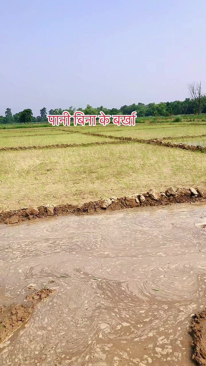 @Ganesh chaudhary