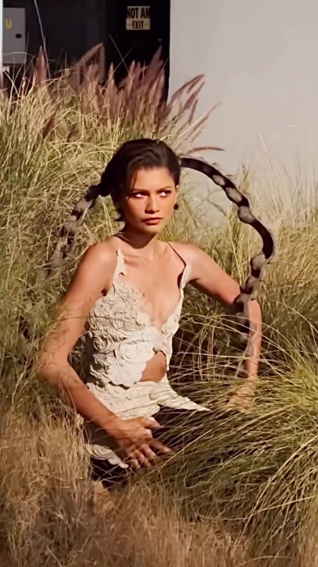 @Zendaya Content