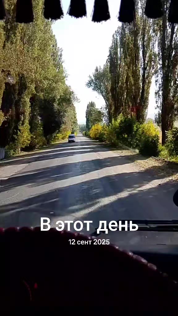 @дальнабой