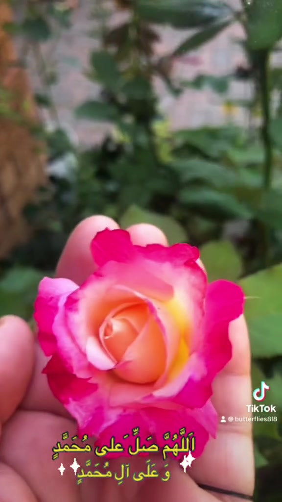 @786ami786
