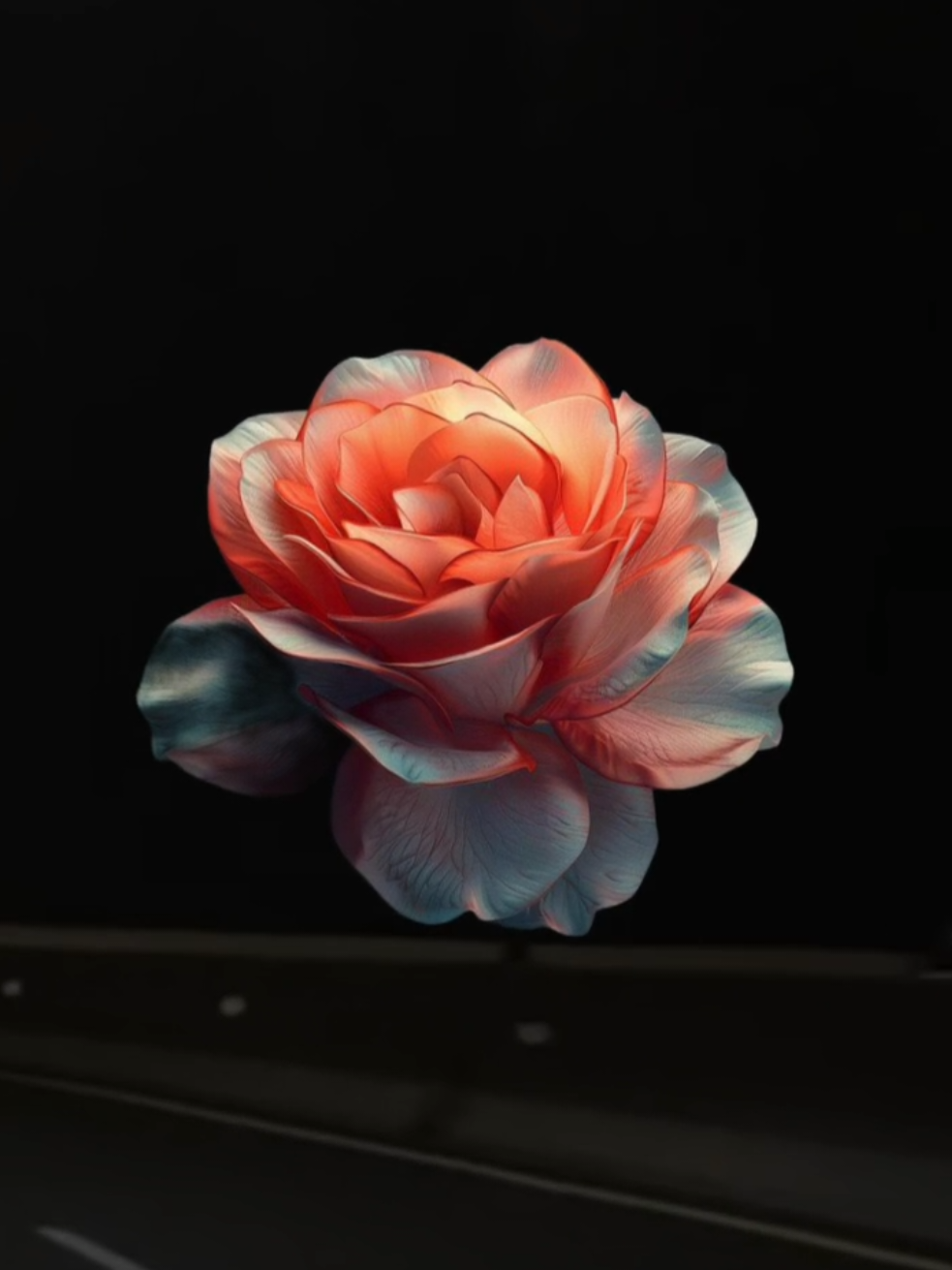 @𝐗𝐕𝐈 𝐀.𝐂