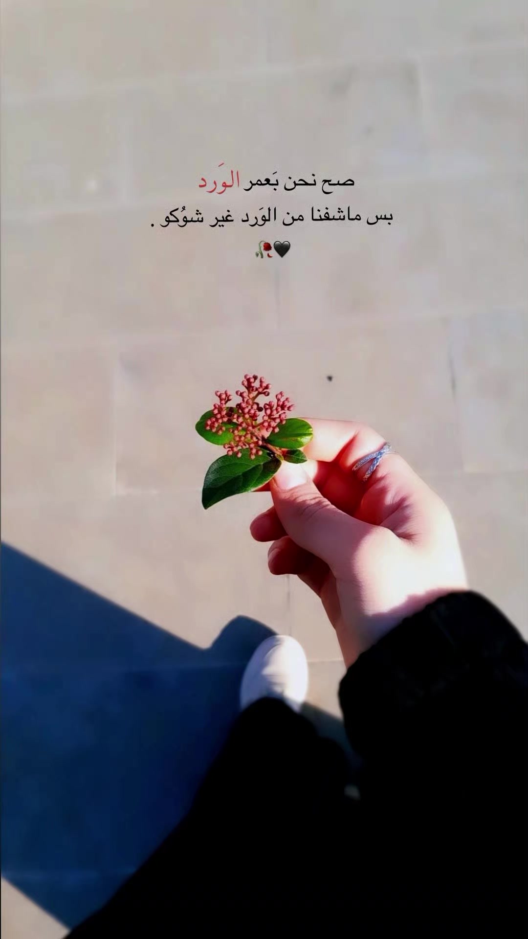 @ᥫᩣוܩߺ ࡅࠦࡅࡅࡅߺܩߺܚࡅߺᥫᩣ