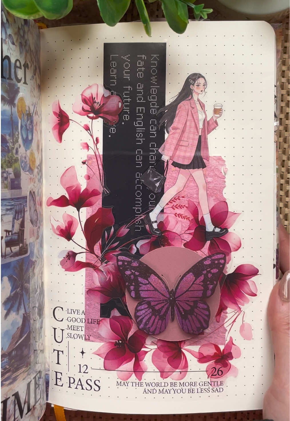 @Journal by Shosho