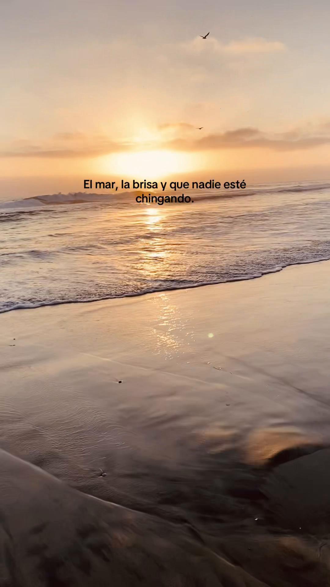 @rd_mznvr