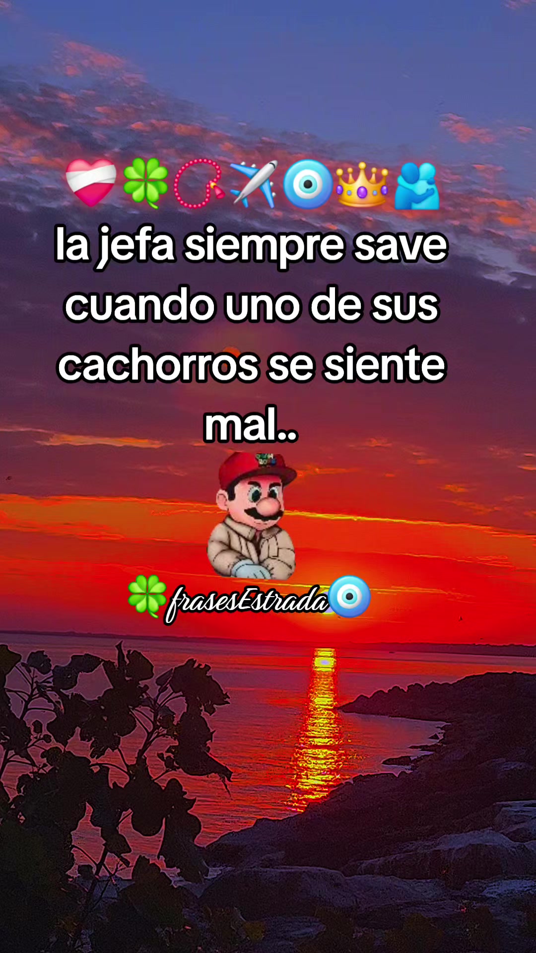 @🍀Frases Estrada🧿