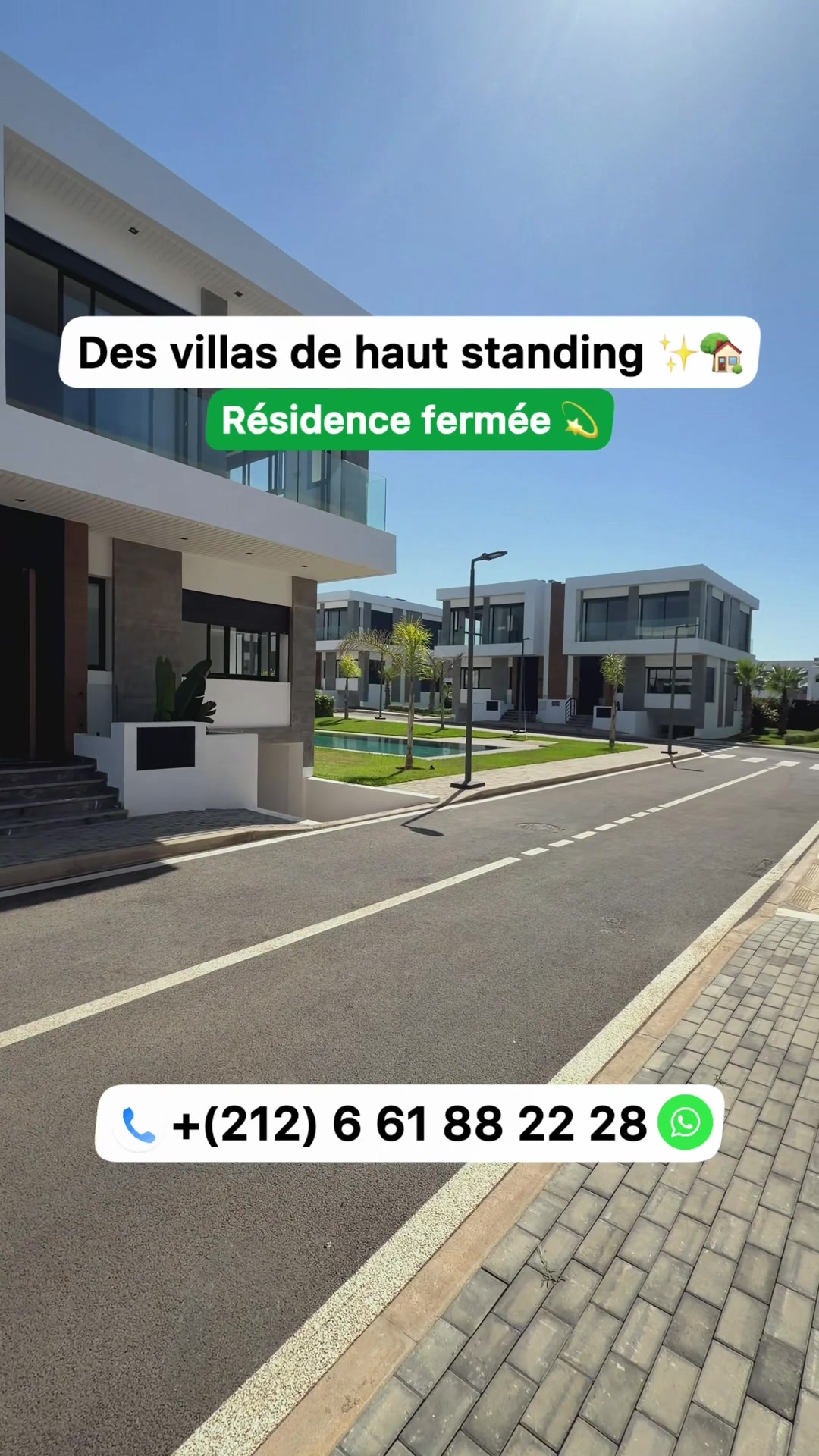 @Zakaria Haddad 🇲🇦🇵🇸