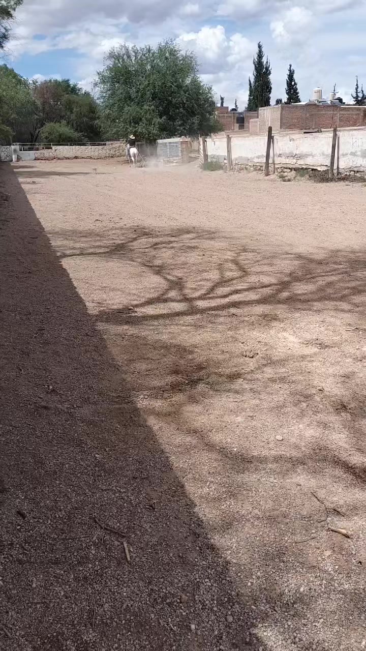 @Viejito Cordova✝️🍀❤️🐎🦅