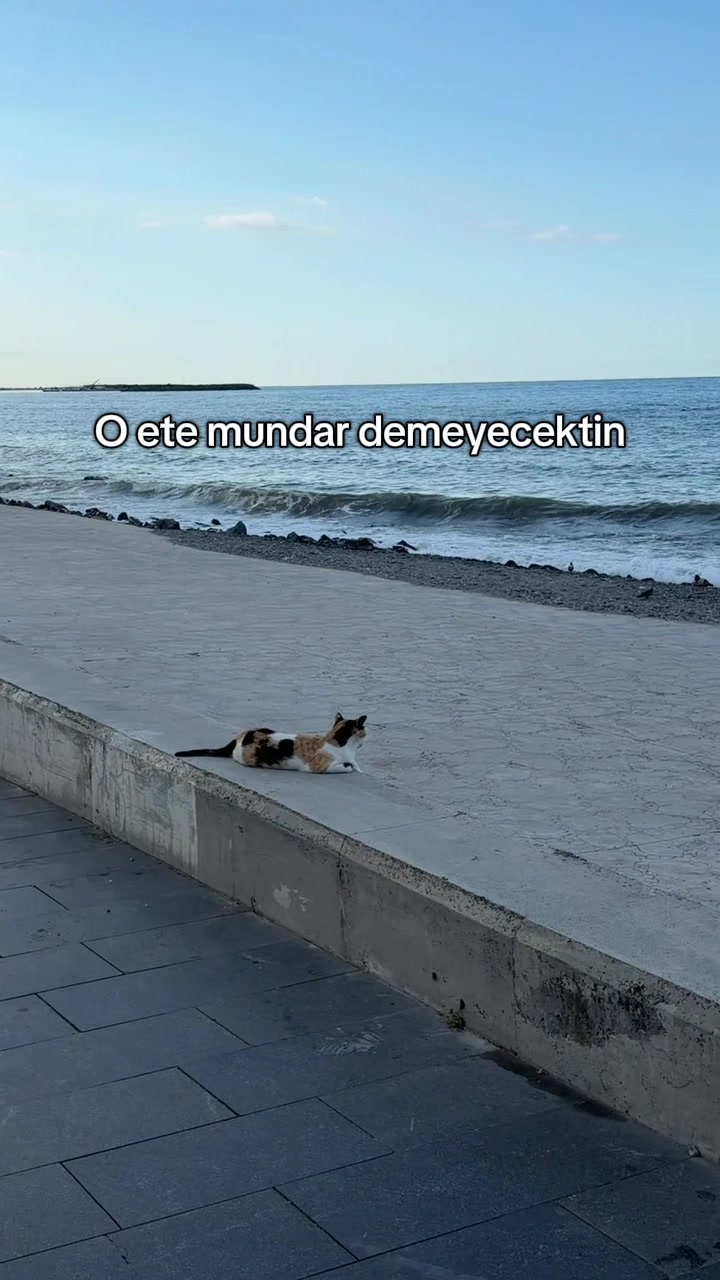 @Şuheda &Ouml;zt&uuml;rk