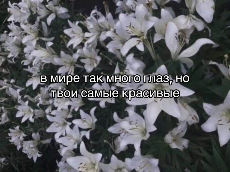 @люблю полину❤️