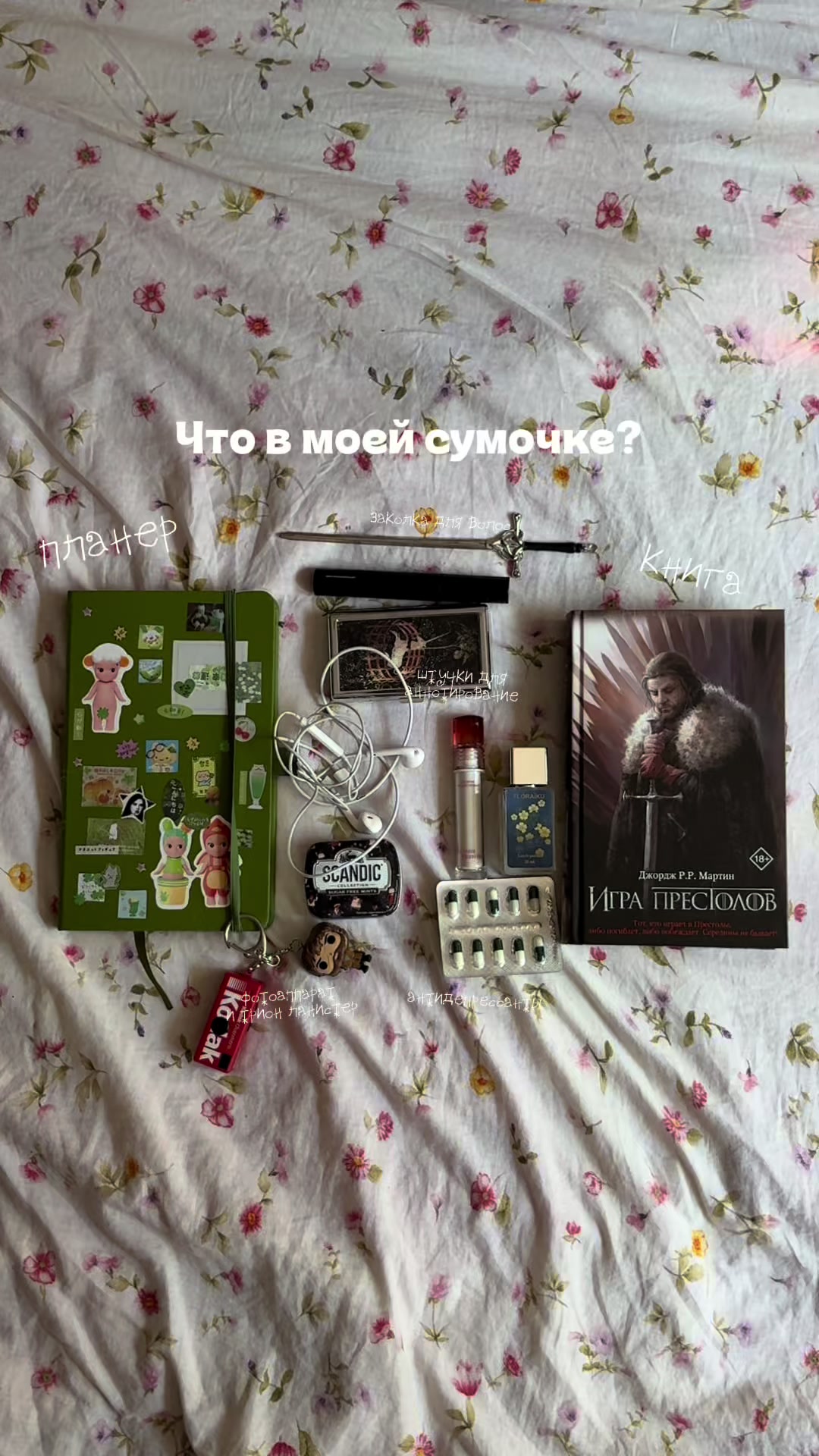 @༘⋆ the pixie diaries ྀི