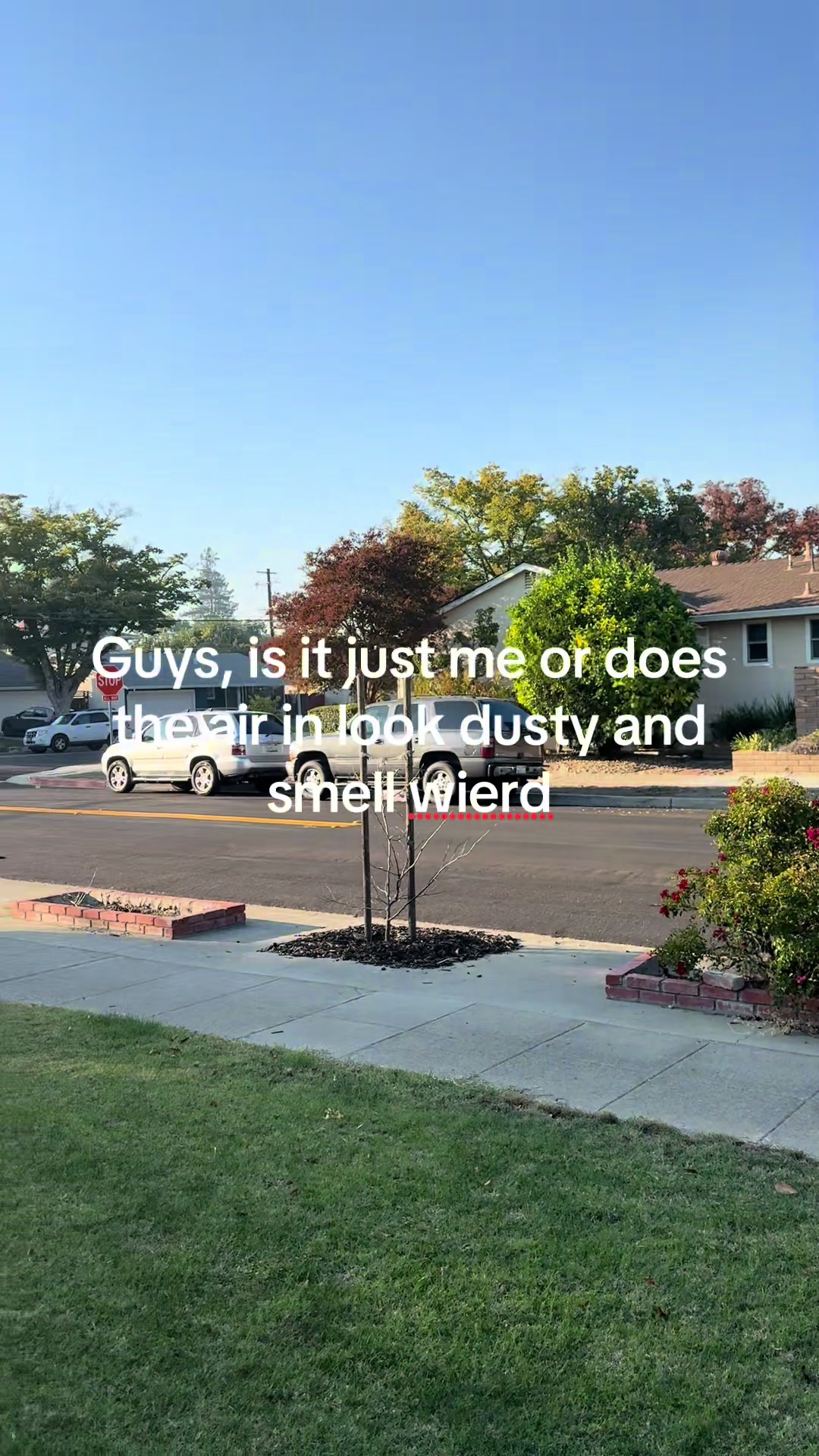 @Nick Colton