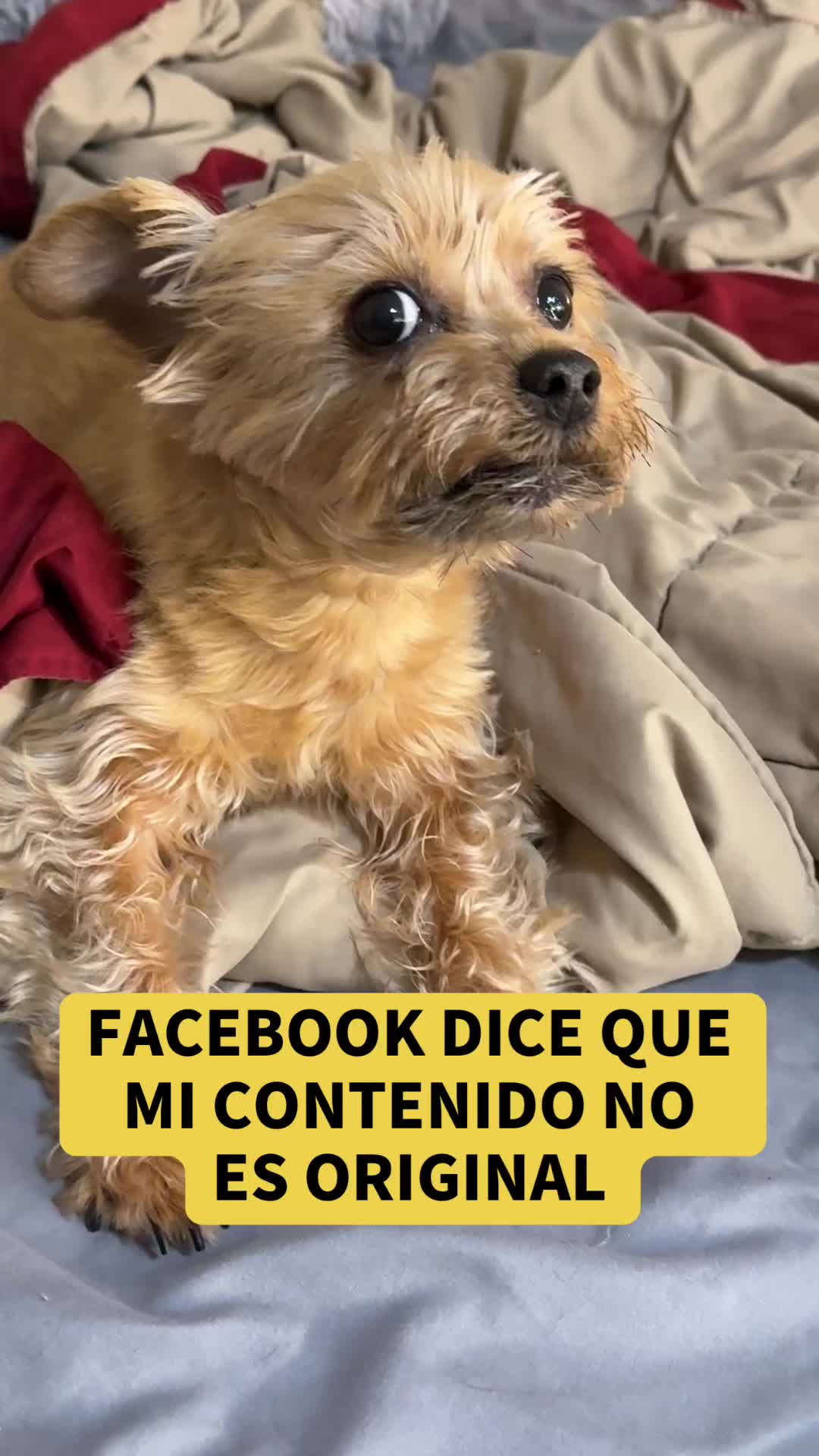@mili_la_yorki